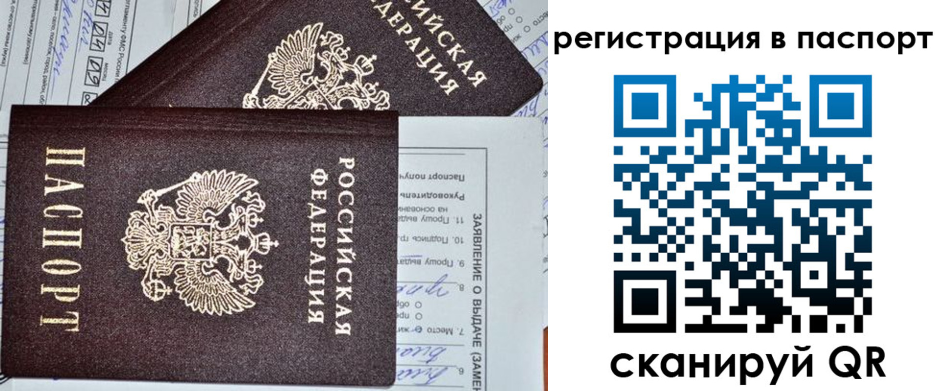 прописка законно в Балтийске